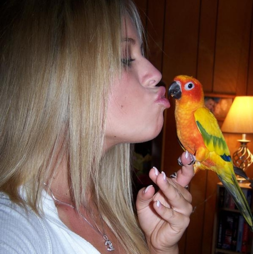 Meet your Posher, Ashley